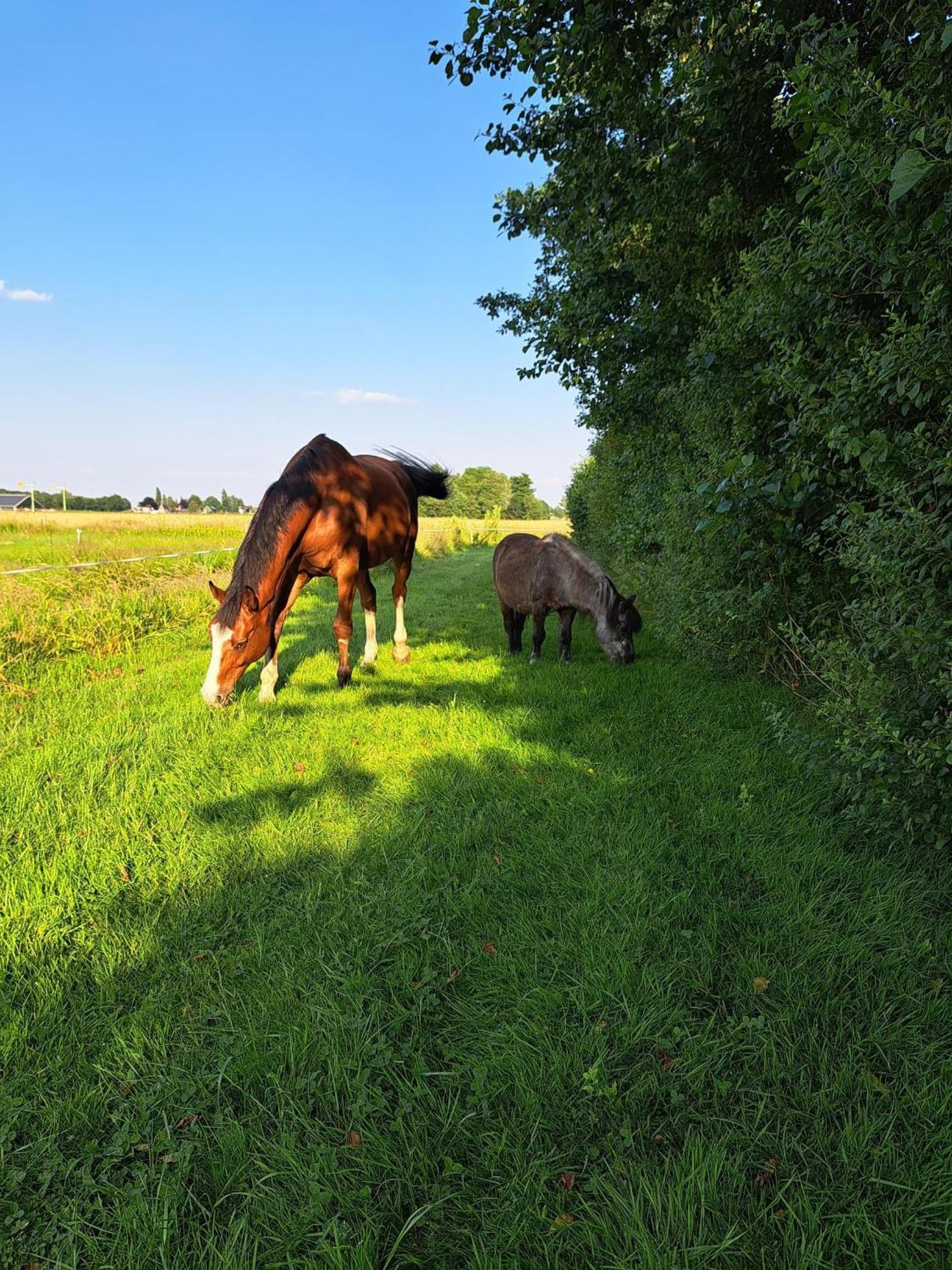 De Veenborg Kolham Esterno foto