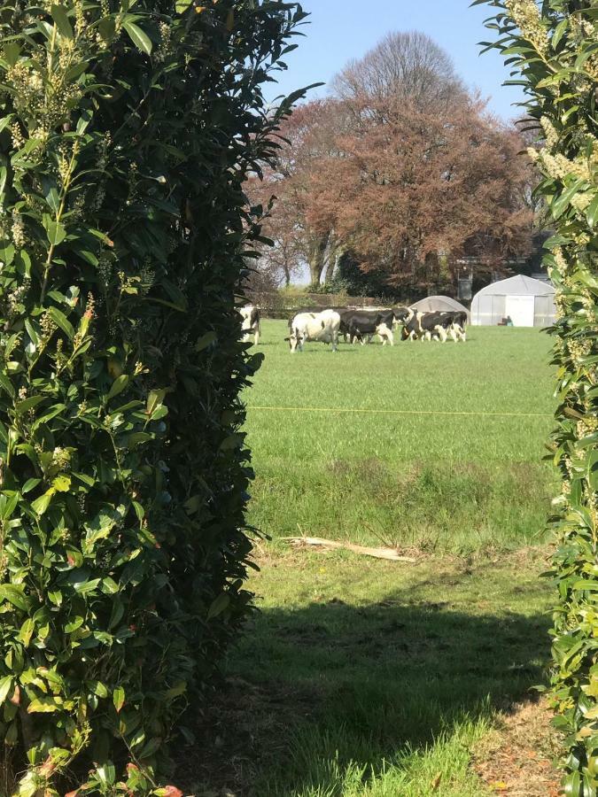 De Veenborg Kolham Esterno foto